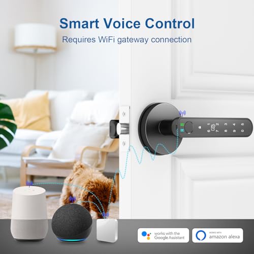 CA02 Fingerprint Door Lock
