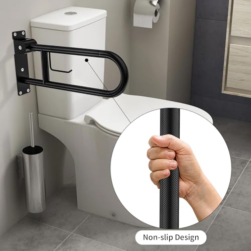 Toilet Grab Bar