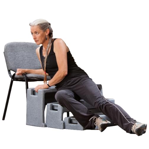 Fall Recovery and Mobility Aid