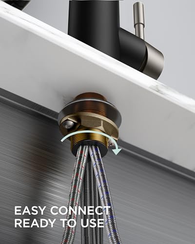 Kitchen Faucet with Pull Down Sprayer