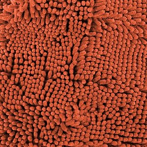 Super Water Absorbent Door Mat Indoor