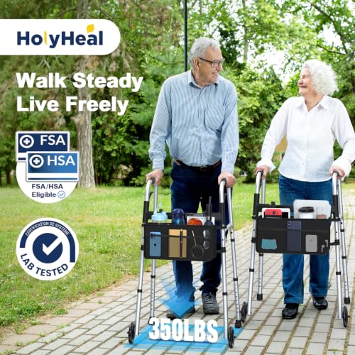 Standard Walker with Wheels