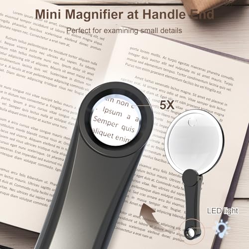 FDJ2 6X Large Magnifying Glass