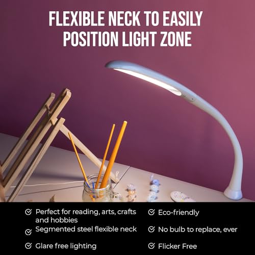 LED Desk Task Lamp