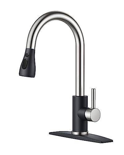 Kitchen Faucets with Pull Down Sprayer
