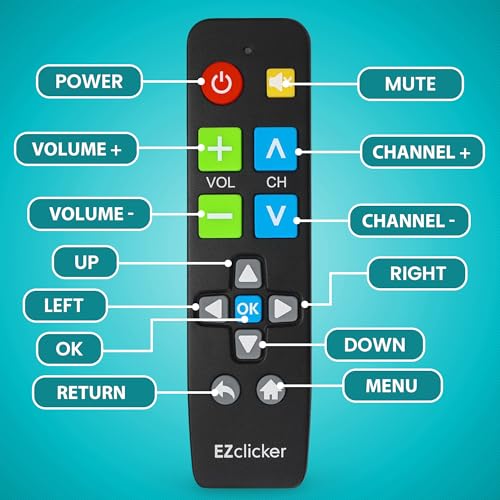 Universal TV Remote