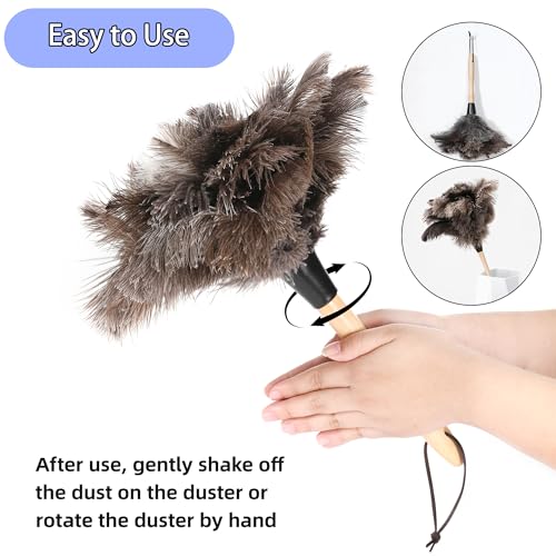 Extendable Ostrich Feather Duster