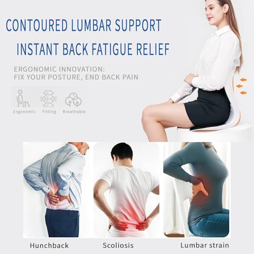 Ergonomic Back Support for Office Chair Cushion with Lumbar Pillow