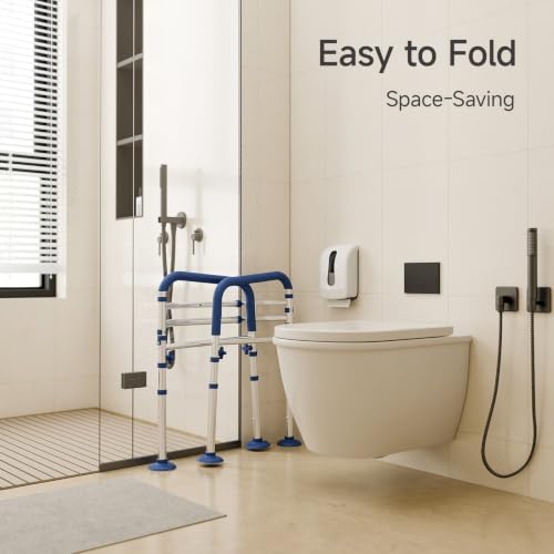 Toilet Safety Rail Height