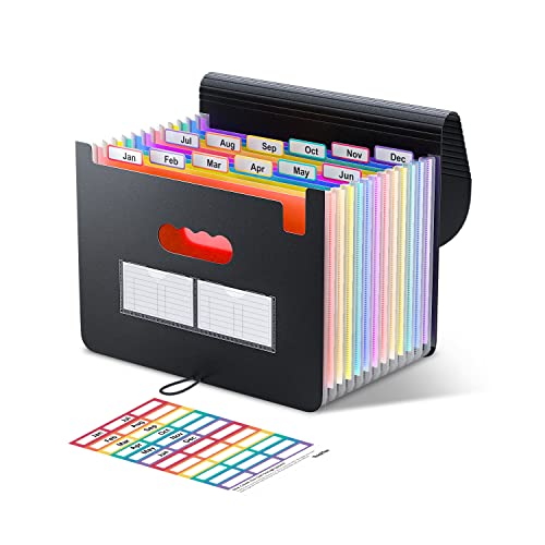 Accordion File Organizer