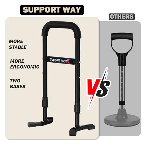 Stand Assist Aid Plus
