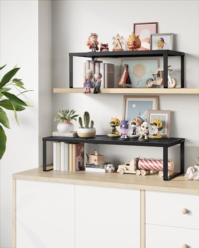 Spice Racks Expandable and Stackable Shelf Orgnizers