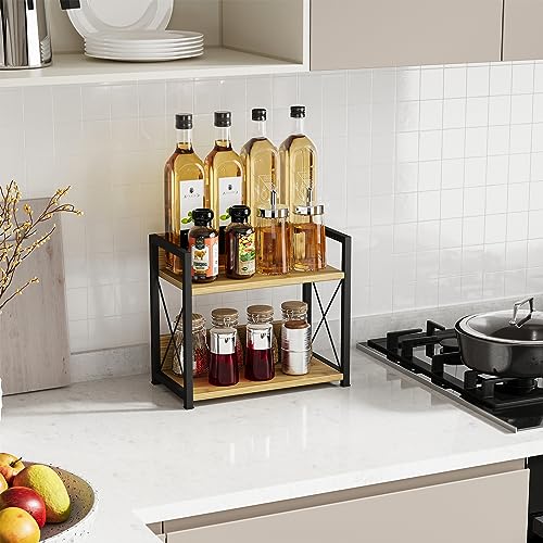 2 Tier Spice Rack