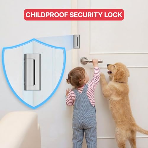 Door Reinforcement Lock
