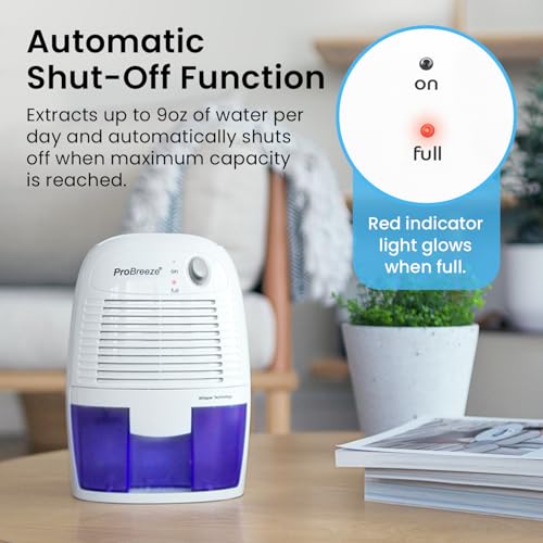 Electric Dehumidifier for Home
