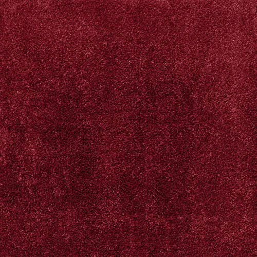 Dirt Trapping Indoor Door Mat