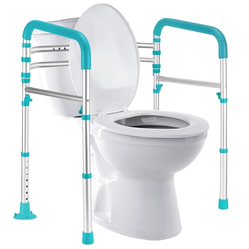 Toilet Safety Rails