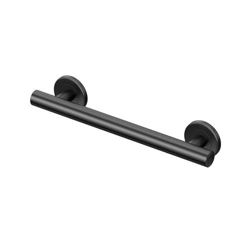 Latitude II Grab Bar
