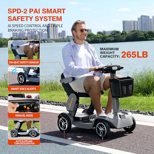 Mobility Scooter for Seniors