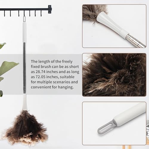 Ostrich Feather Duster Pole