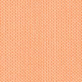 Kinesiology Tape