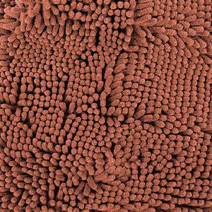 Super Water Absorbent Door Mat Indoor