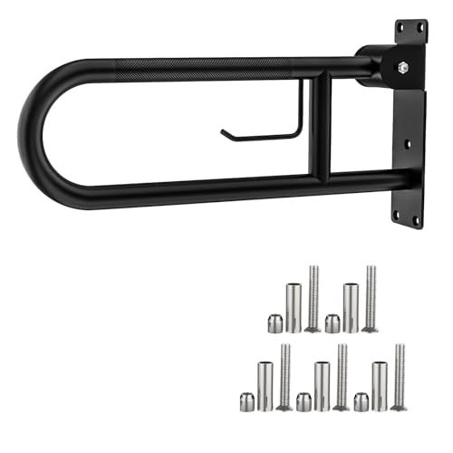 Toilet Grab Bar