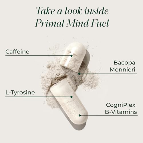 Brain Supplement