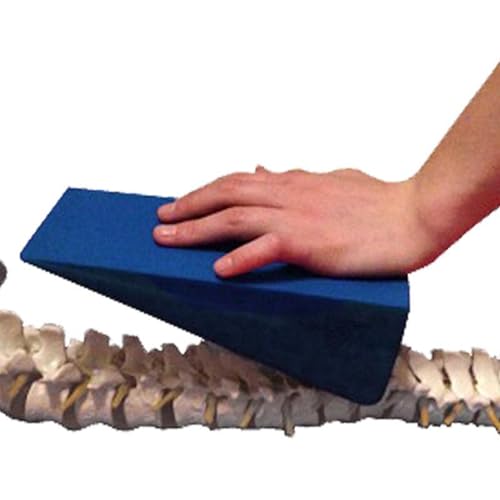 Physical Therapy Wedge Pillow