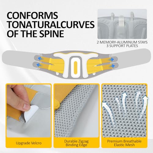 Back Brace for Lower Back Pain Relief