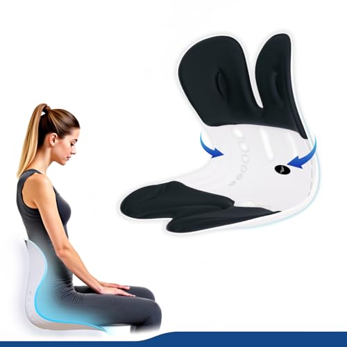 Ergonomic Back Support for Office Chair Cushion with Lumbar Pillow