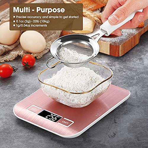 Food Scale 22lb