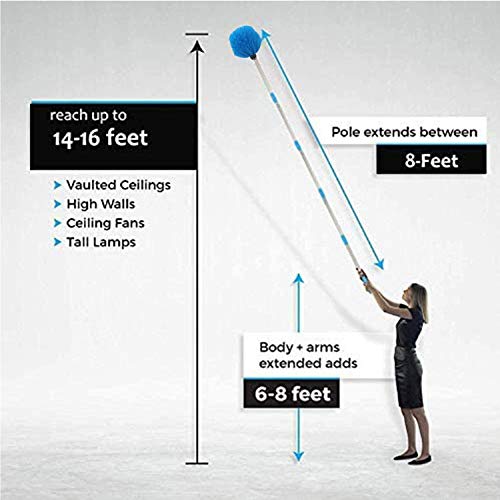 Cobweb Duster with Extension Pole