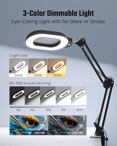 10 X Magnifying Lamp