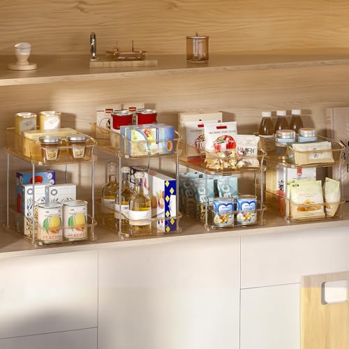 2 Tier Under Sink Organizers and Storage