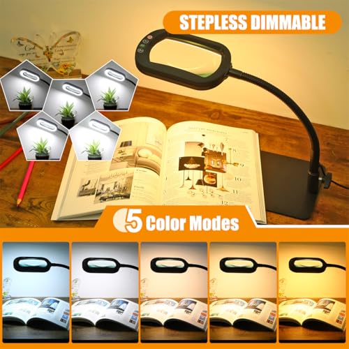 Rectangle Magnifying Glass with Light and Stand