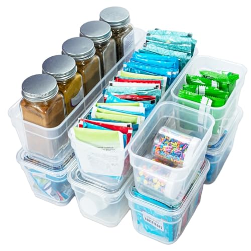 Plastic Storage Bins with Lids