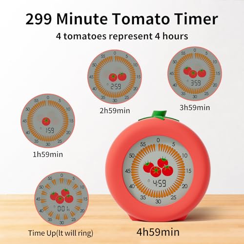 Visual Timer
