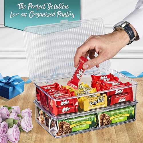 Storage Bins for Pantry & Fridge with Hinged Lids
