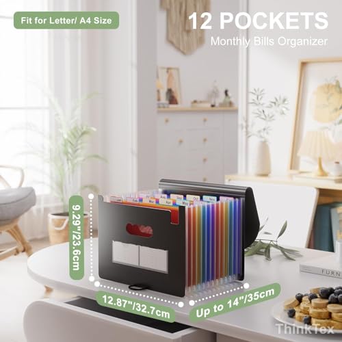 Accordion File Organizer