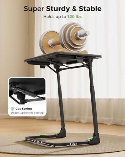 Foldable TV Tray