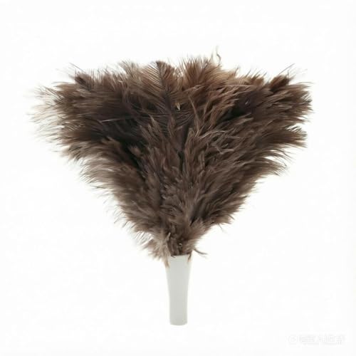 Ostrich Feather Duster Pole