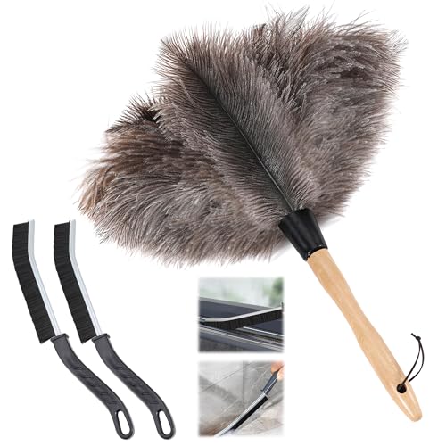 Extendable Ostrich Feather Duster