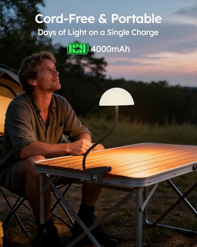 Rechargeable Clip On Lamp