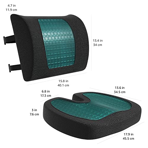 Back Support Cushion