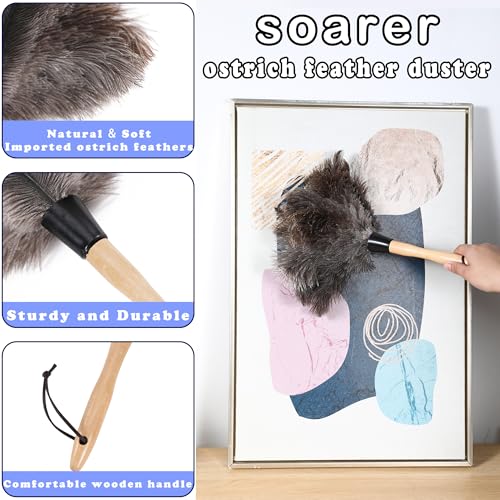 Extendable Ostrich Feather Duster