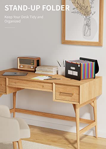 Accordion File Organizer Expanding File Folders
