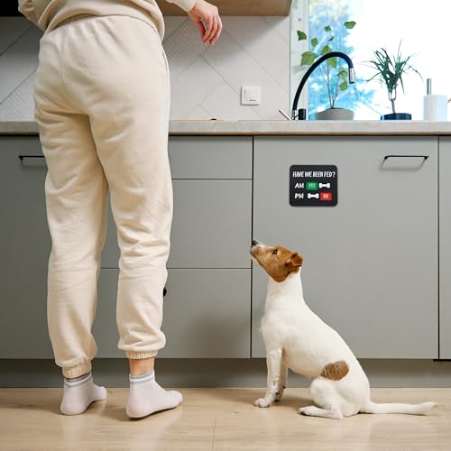 Dog Feeding Reminder