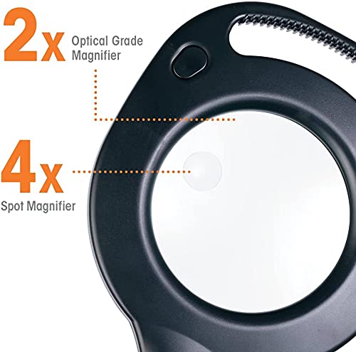 2-in-1 ClearSun LED Magnifier Light Floor and Table Lamp