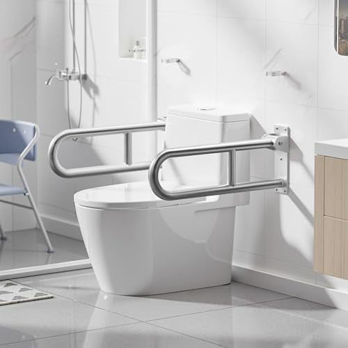 Toilet Grab Bar